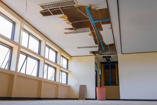 Best Water damage restoration near me  in Seth Ward, TX