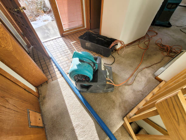 Best Water damage restoration insurance claims  in Seth Ward, TX