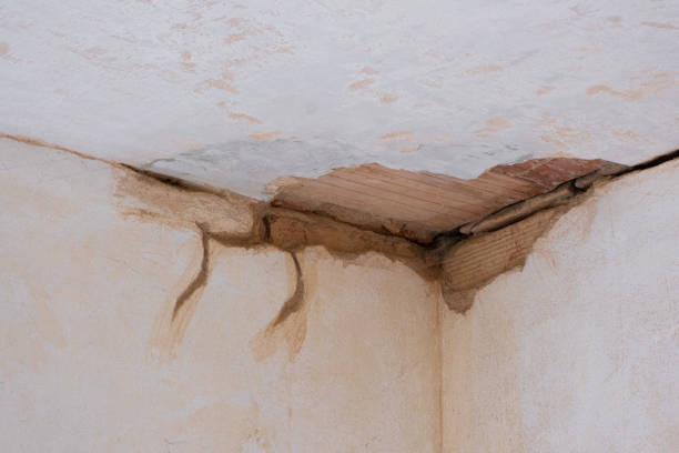 Sewage cleanup and water damage restoration in Seth Ward, TX