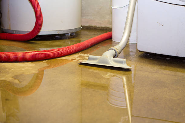 Reliable Seth Ward, TX Water damage restoration Solutions