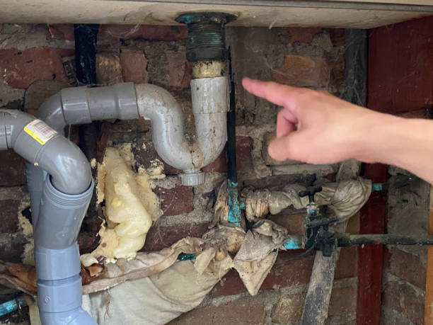 Best Basement water damage restoration  in Seth Ward, TX